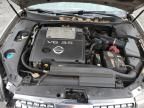 2006 Nissan Maxima SE