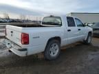 2011 Dodge Dakota SLT