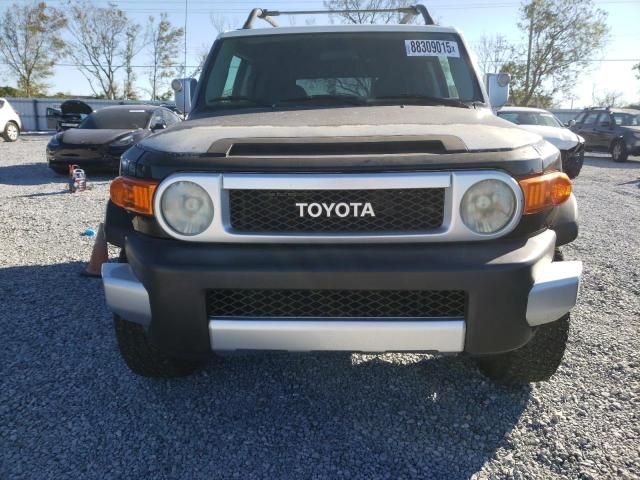 2007 Toyota FJ Cruiser