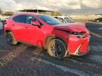 2024 Lexus NX 250 Base