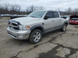 Dodge salvage cars for sale: 2010 Dodge RAM 1500