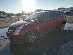 Salvage cars for sale at auction: 2011 Cadillac SRX Luxury Collection