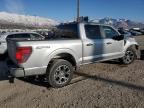 2024 Ford F150 STX