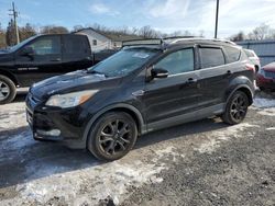 Salvage cars for sale at York Haven, PA auction: 2014 Ford Escape Titanium