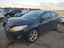 Salvage cars for sale at Pennsburg, PA auction: 2014 Ford Focus SE