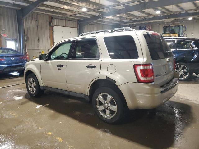 2011 Ford Escape XLT