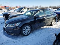 Salvage cars for sale at Columbus, OH auction: 2014 Honda Accord EXL