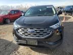 2019 Ford Edge SE