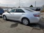 2009 Toyota Camry Hybrid