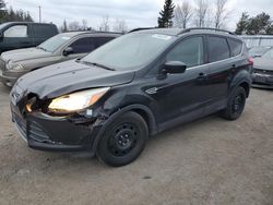 Vehiculos salvage en venta de Copart Bowmanville, ON: 2014 Ford Escape SE