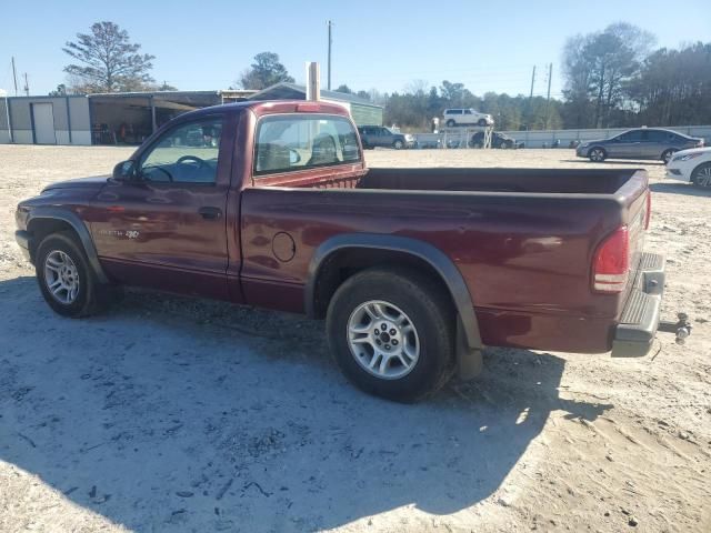 2002 Dodge Dakota Base