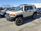 2010 Toyota FJ Cruiser