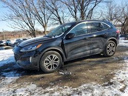 Salvage cars for sale at Baltimore, MD auction: 2021 Ford Escape SEL