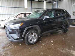 Salvage cars for sale at auction: 2025 Toyota Rav4 LE