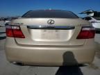 2008 Lexus LS 460