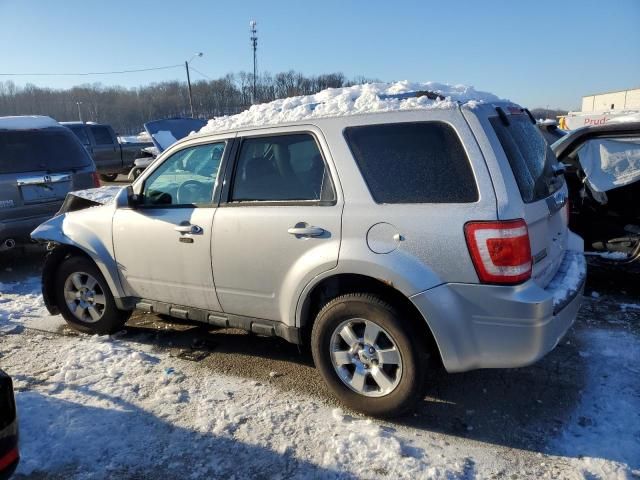 2011 Ford Escape Limited