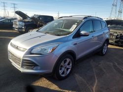 Salvage SUVs for sale at auction: 2014 Ford Escape SE