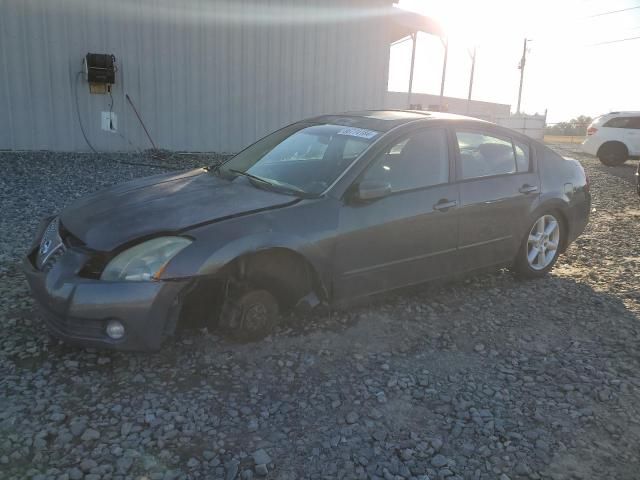 2006 Nissan Maxima SE