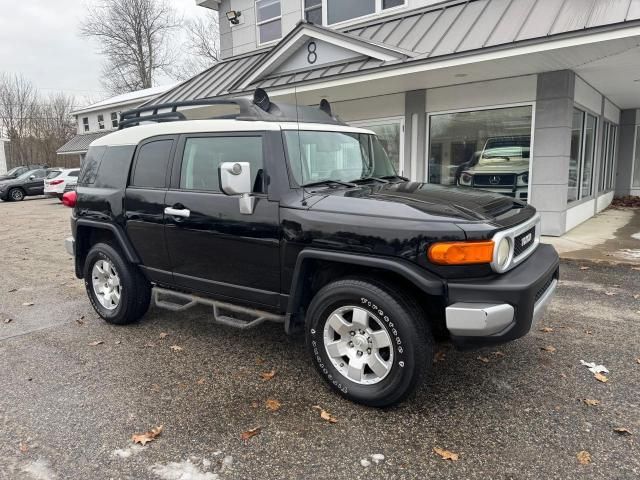 2010 Toyota FJ Cruiser