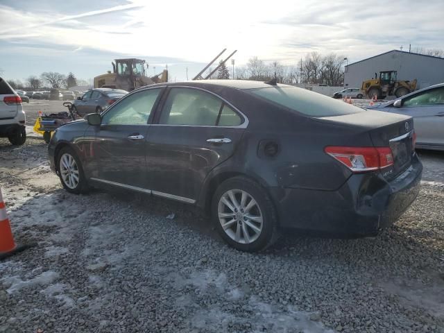 2010 Lexus ES 350