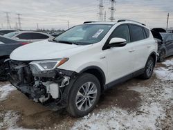 Salvage cars for sale at auction: 2017 Toyota Rav4 HV LE