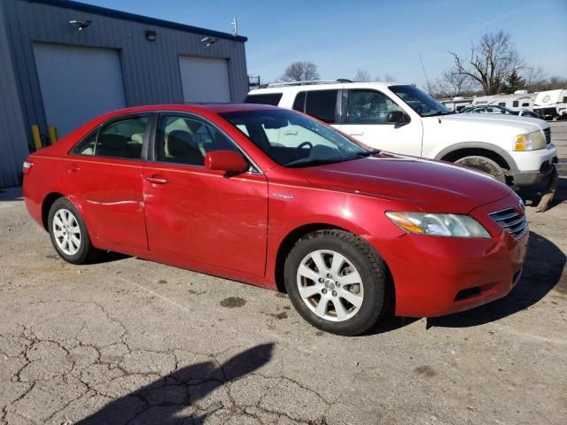 2008 Toyota Camry Hybrid