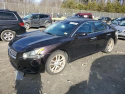 Nissan Maxima salvage cars for sale: 2013 Nissan Maxima S