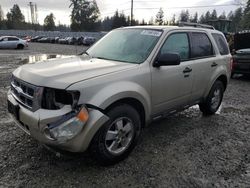 Ford Escape Vehiculos salvage en venta: 2012 Ford Escape XLT