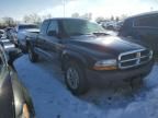 2004 Dodge Dakota SXT