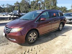 Salvage cars for sale at Ocala, FL auction: 2016 Honda Odyssey EXL