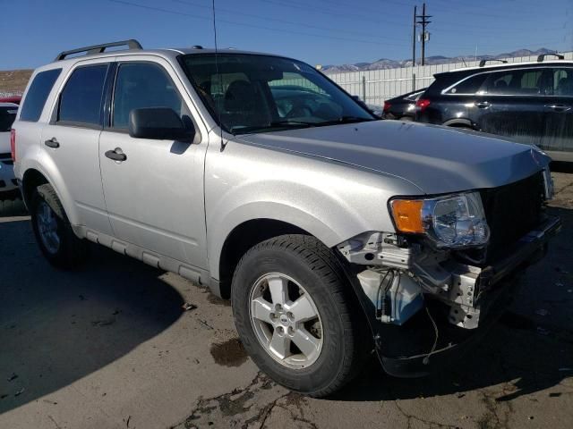 2009 Ford Escape XLT