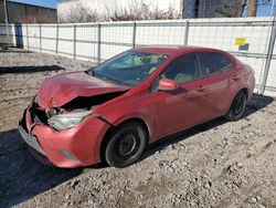 Salvage cars for sale at Lexington, KY auction: 2014 Toyota Corolla L