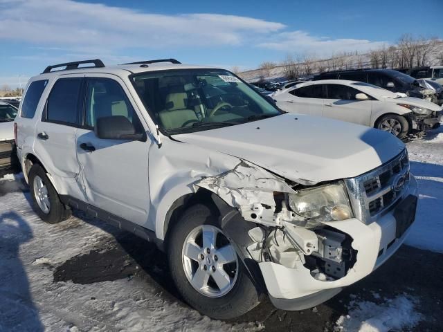 2012 Ford Escape XLT