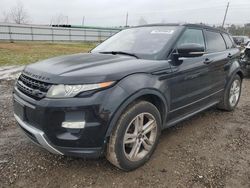 Salvage SUVs for sale at auction: 2013 Land Rover Range Rover Evoque Dynamic Premium