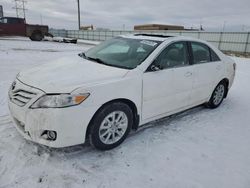 Toyota salvage cars for sale: 2011 Toyota Camry SE