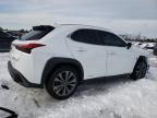 2020 Lexus UX 250H