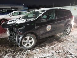 Salvage cars for sale at Pennsburg, PA auction: 2013 Ford Escape SE