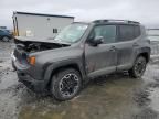 2017 Jeep Renegade Trailhawk