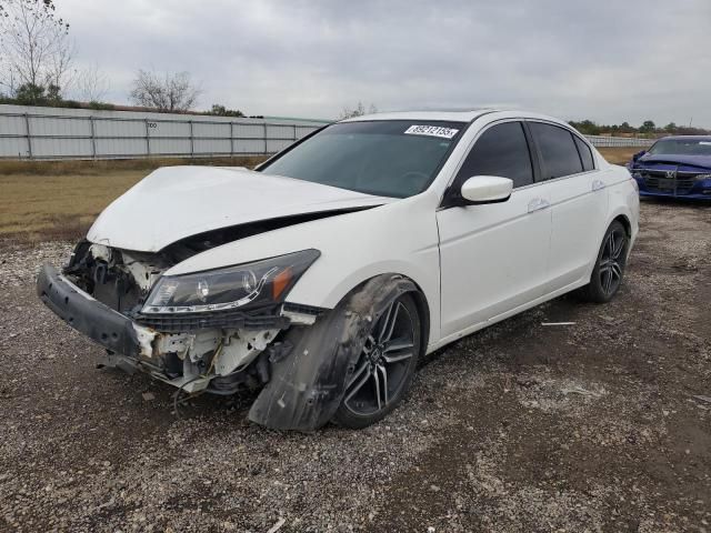 2011 Honda Accord EXL