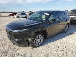 Salvage cars for sale at New Braunfels, TX auction: 2024 Honda CR-V EX