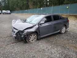 2010 Toyota Corolla Base en venta en Graham, WA