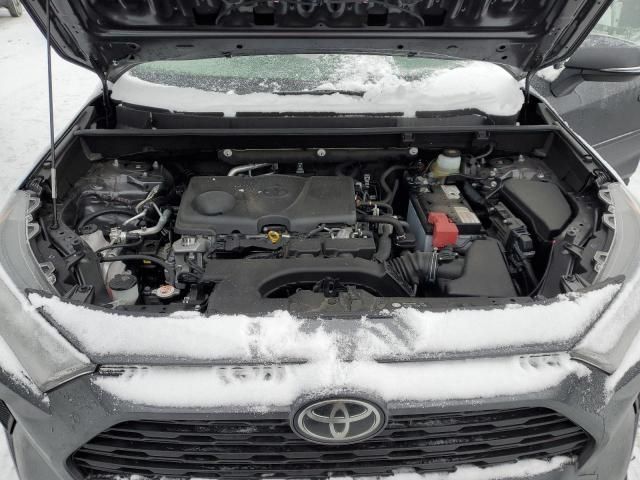 2019 Toyota Rav4 LE