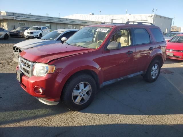 2011 Ford Escape XLT