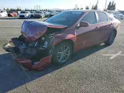 Toyota Camry le Vehiculos salvage en venta: 2017 Toyota Camry LE