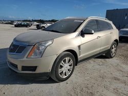 Salvage cars for sale at West Palm Beach, FL auction: 2010 Cadillac SRX Luxury Collection