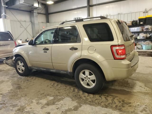 2011 Ford Escape XLT