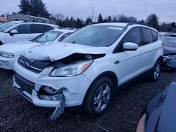 Salvage cars for sale at Portland, OR auction: 2016 Ford Escape SE