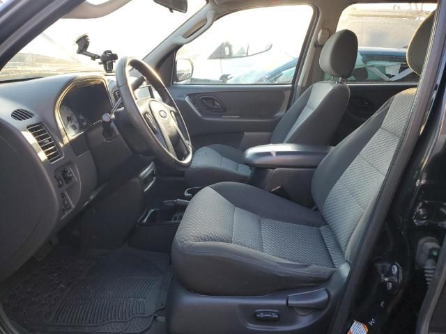 2004 Ford Escape XLT