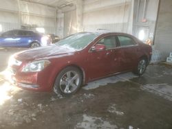 Chevrolet salvage cars for sale: 2009 Chevrolet Malibu 2LT