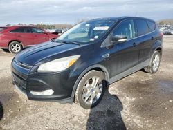 Vehiculos salvage en venta de Copart Fredericksburg, VA: 2013 Ford Escape SEL